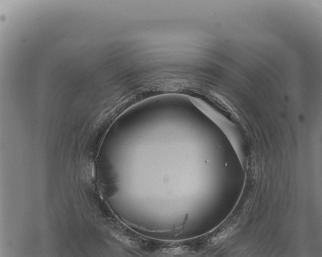 X0000068830307200605121348