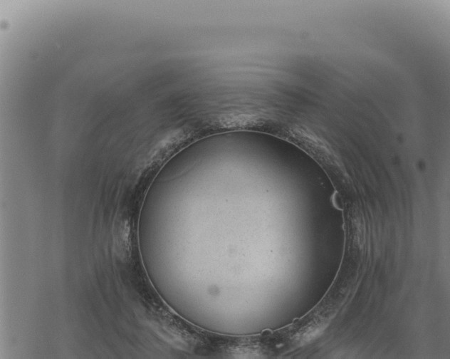 X0000068830308200605121348