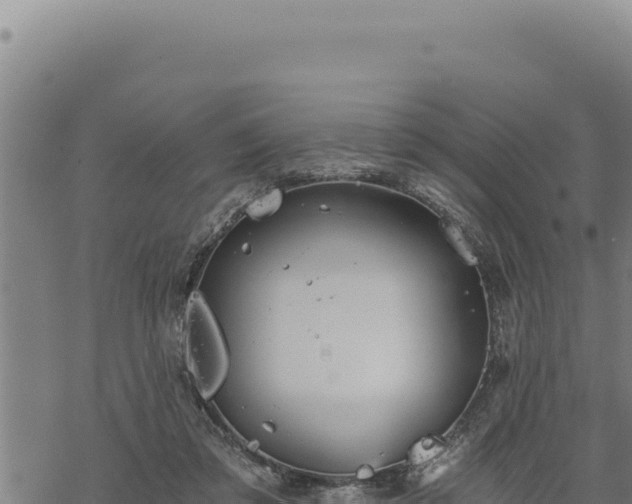 X0000068830309200605121348