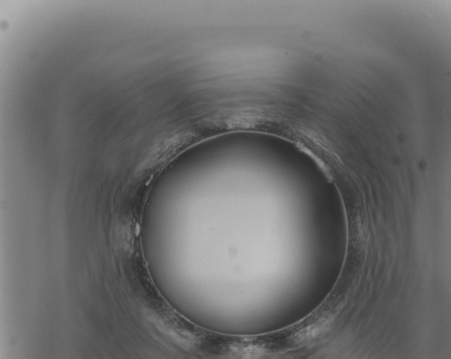 X0000068830311200605121348