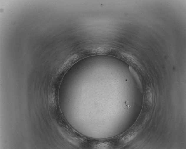 X0000068830312200605121348