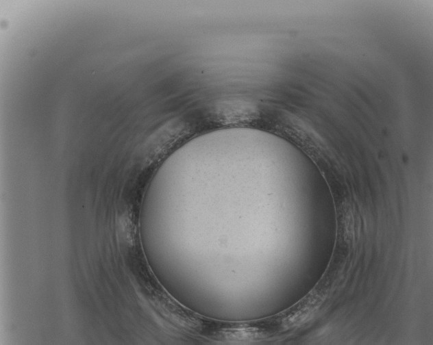 X0000068830316200605121348