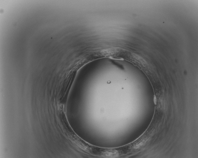 X0000068830317200605121348