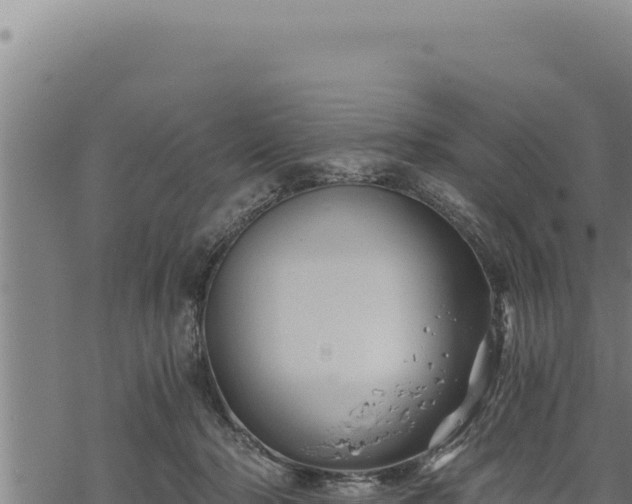 X0000068830318200605121348