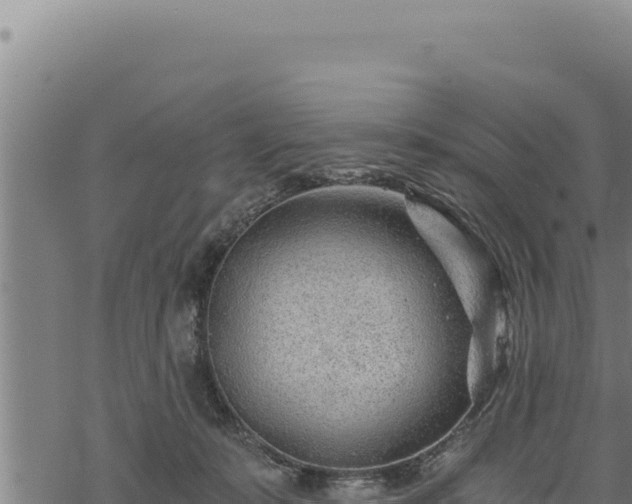 X0000068830319200605121348