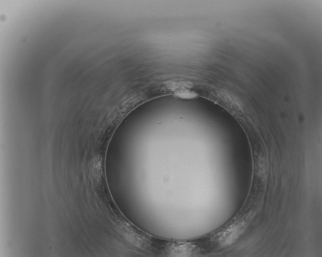 X0000068830321200605121348