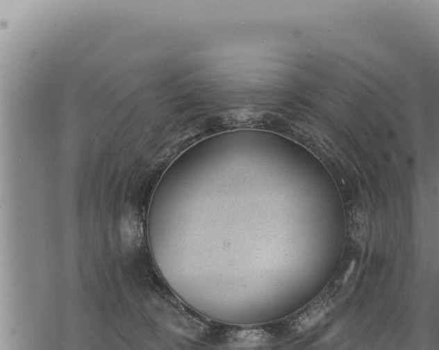 X0000068830324200605121347