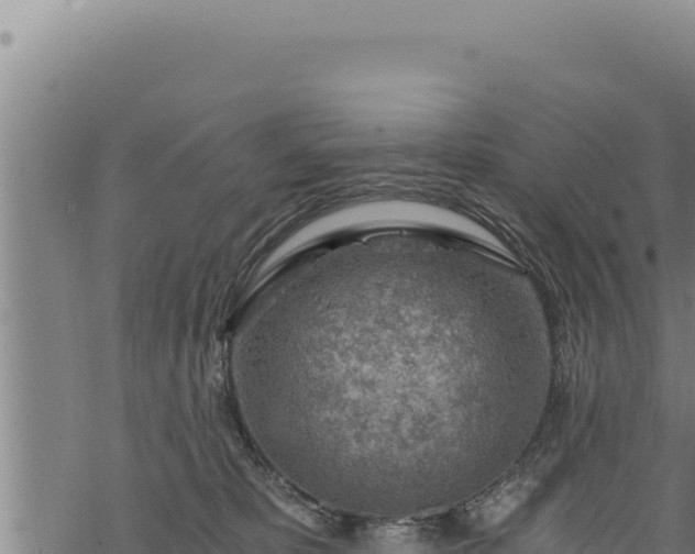 X0000068830325200605121347