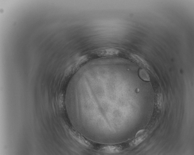 X0000068830326200605121347