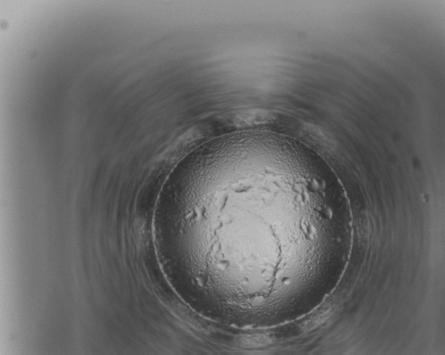 X0000068830327200605121347