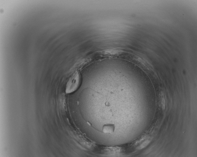 X0000068830328200605121347