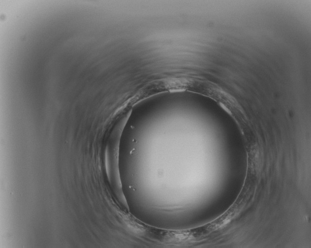 X0000068830329200605121347