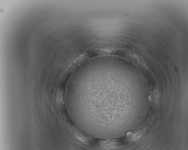 X0000068830331200605121347