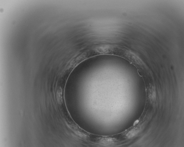 X0000068830332200605121347