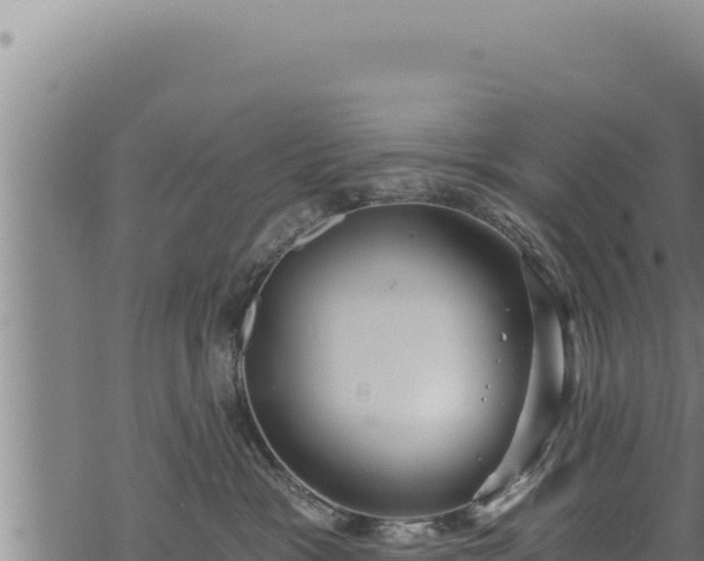 X0000068830333200605121347