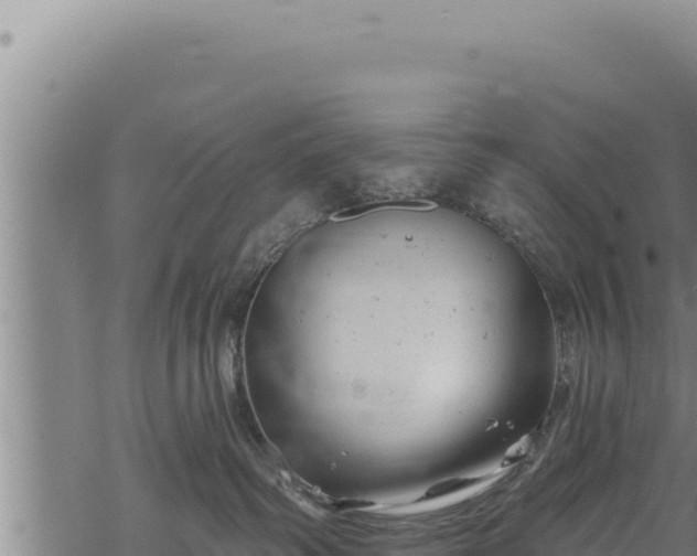 X0000068830334200605121347