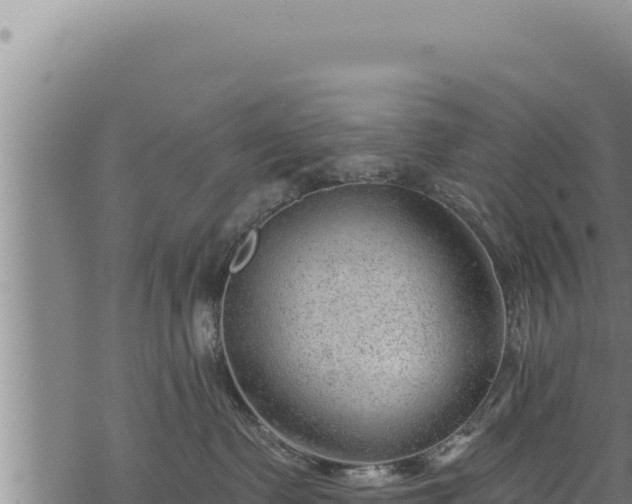 X0000068830335200605121347