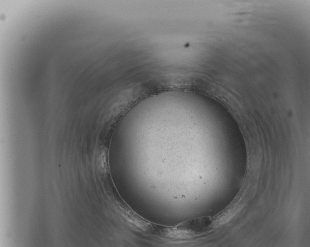 X0000068830336200605121347