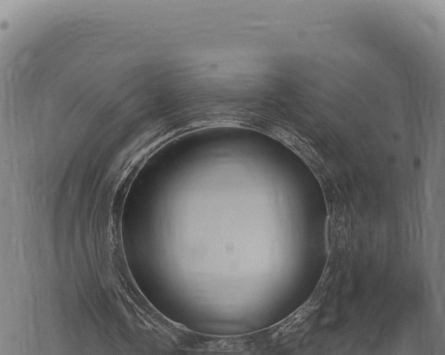 X0000068830338200605121347