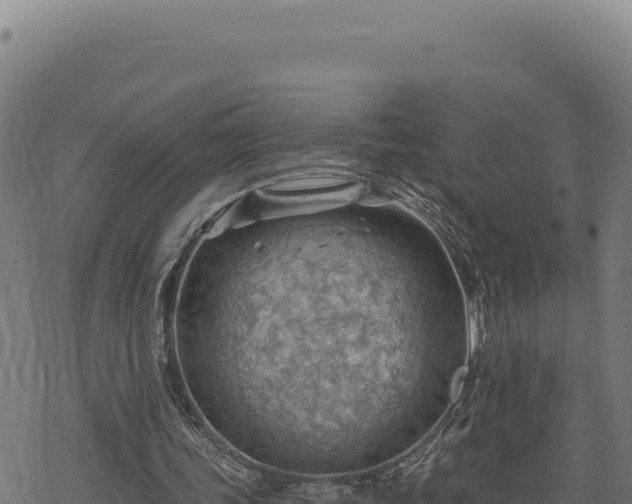 X0000068830339200605121347