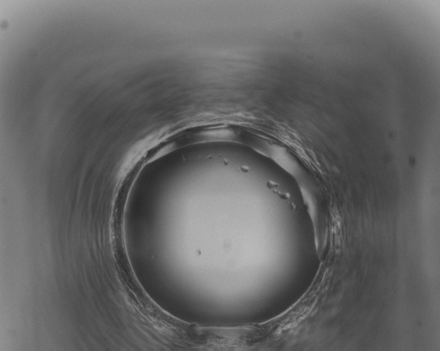 X0000068830340200605121347