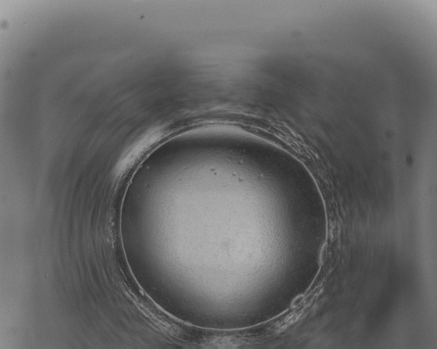 X0000068830341200605121347