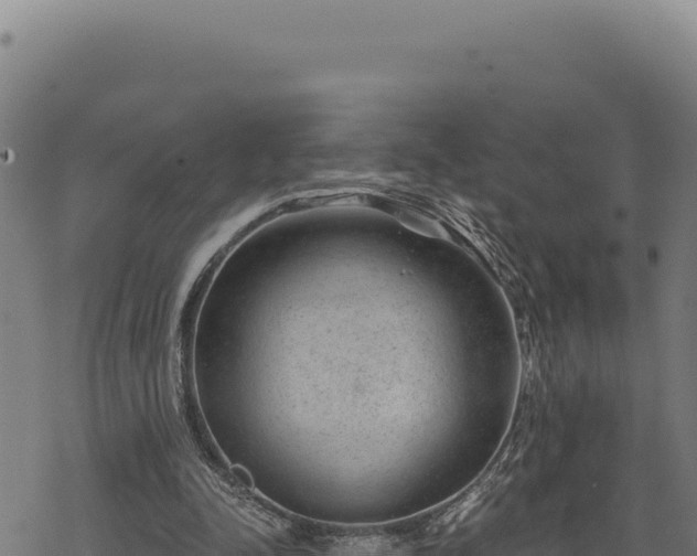 X0000068830342200605121347