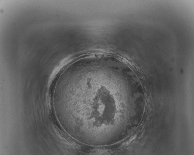 X0000068830343200605121347