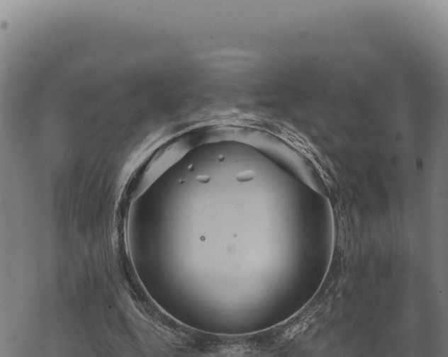 X0000068830344200605121347