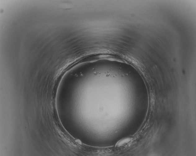 X0000068830345200605121347