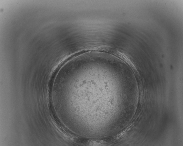 X0000068830346200605121347