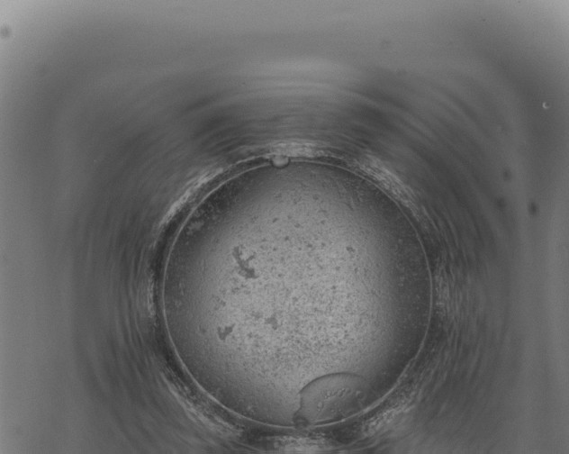 X0000068830347200605121347