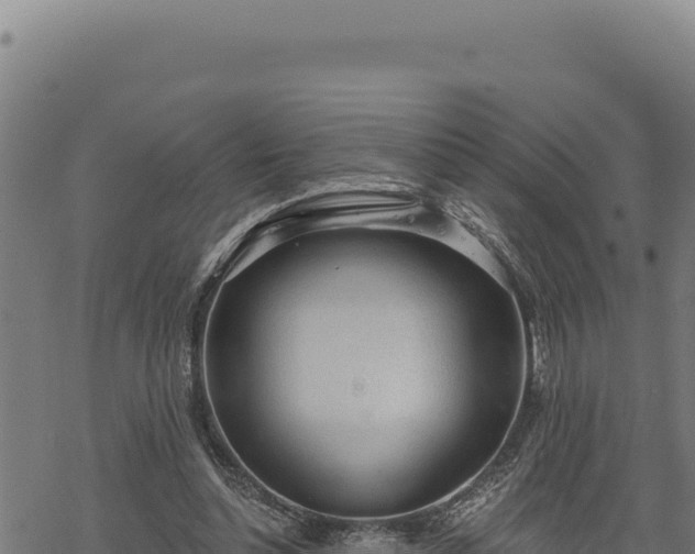 X0000068830348200605121347