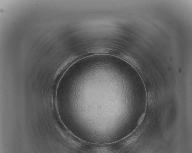 X0000068830349200605121347