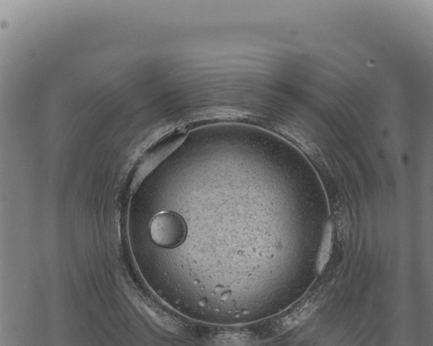 X0000068830350200605121347