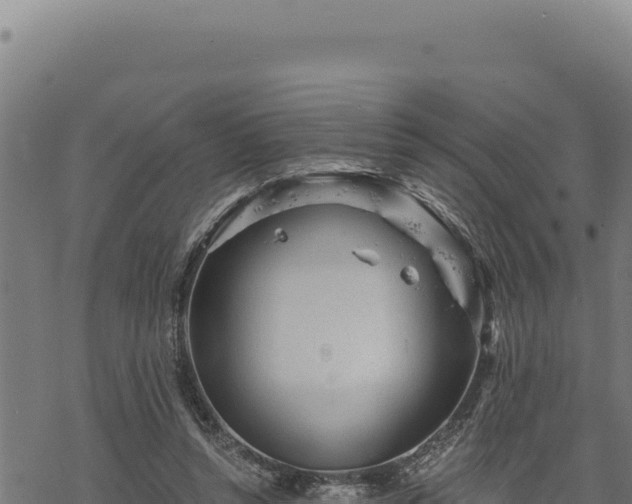 X0000068830352200605121347