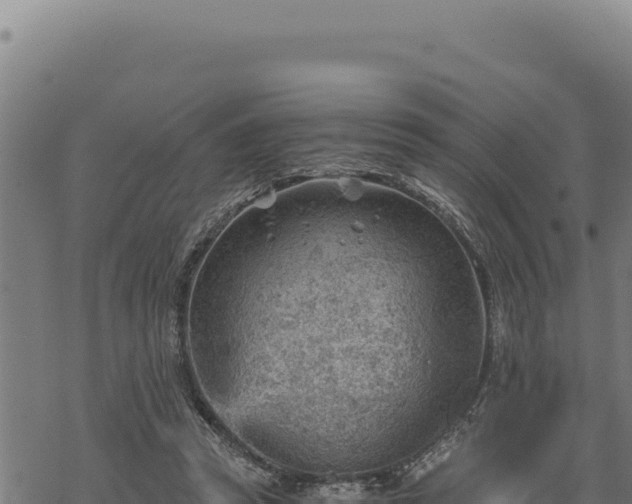 X0000068830353200605121347