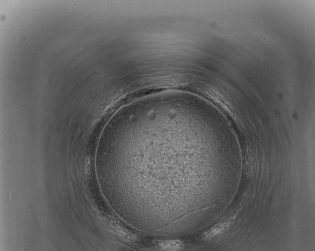 X0000068830355200605121347