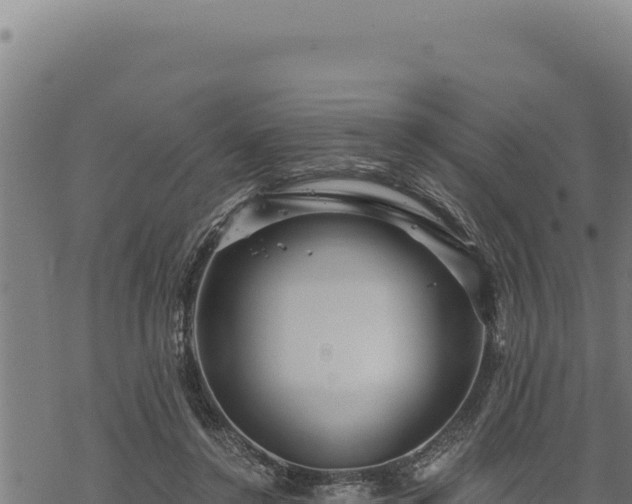 X0000068830356200605121347