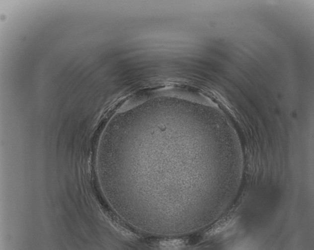 X0000068830357200605121347