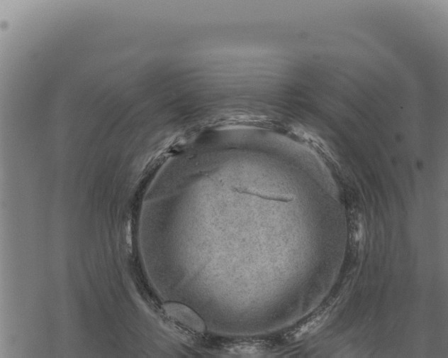 X0000068830358200605121347