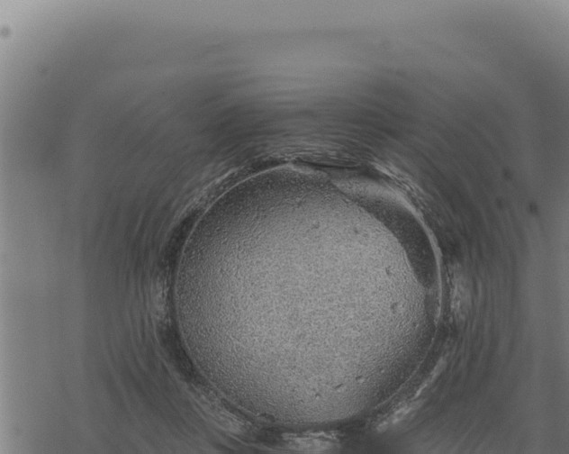 X0000068830359200605121347