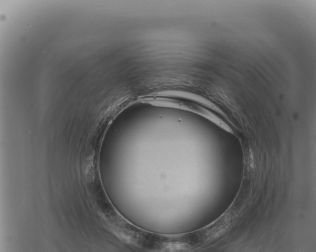 X0000068830360200605121347