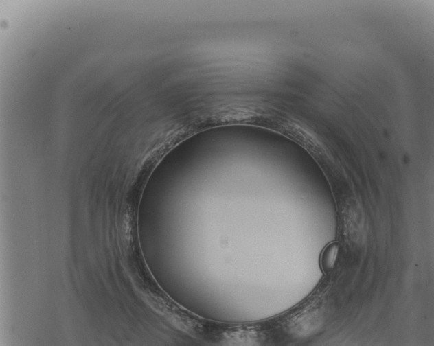 X0000068830362200605121347