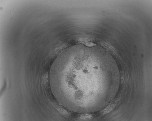 X0000068830369200605121347