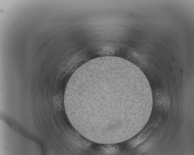 X0000068830370200605121347