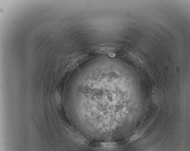 X0000068830371200605121347