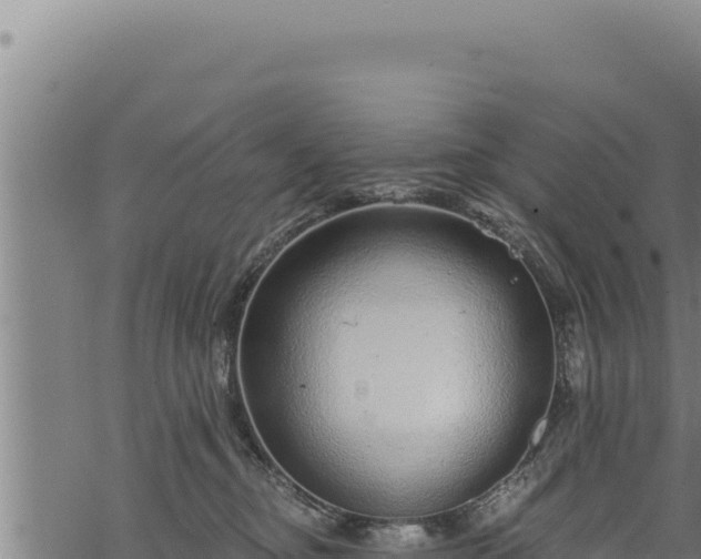 X0000068830374200605121347