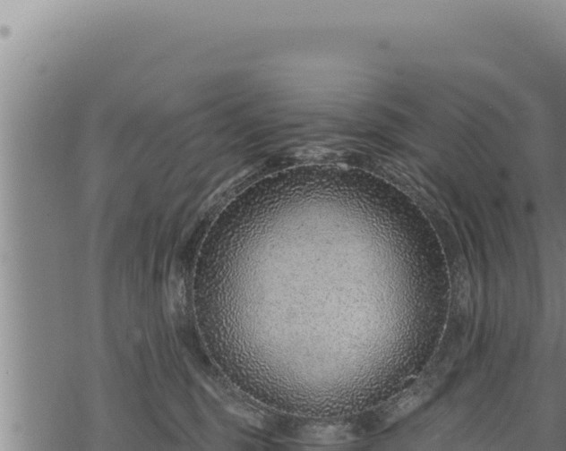 X0000068830375200605121347