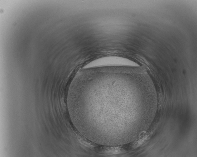 X0000068830377200605121347